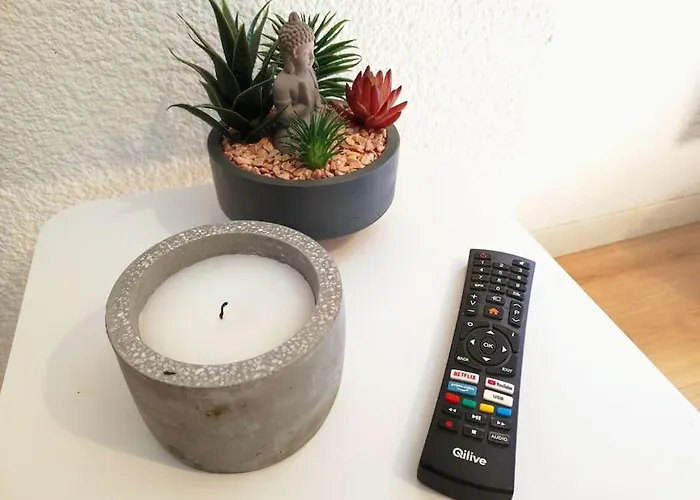 Le Melusine , A 50m De La Gare De Poitiers